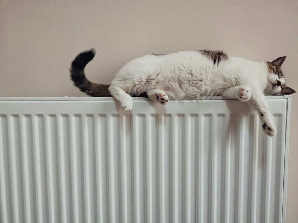 Riscaldamento casa en Italia: Cómo Calentar el Baño Rápido y Ahorrar Gas este Invierno